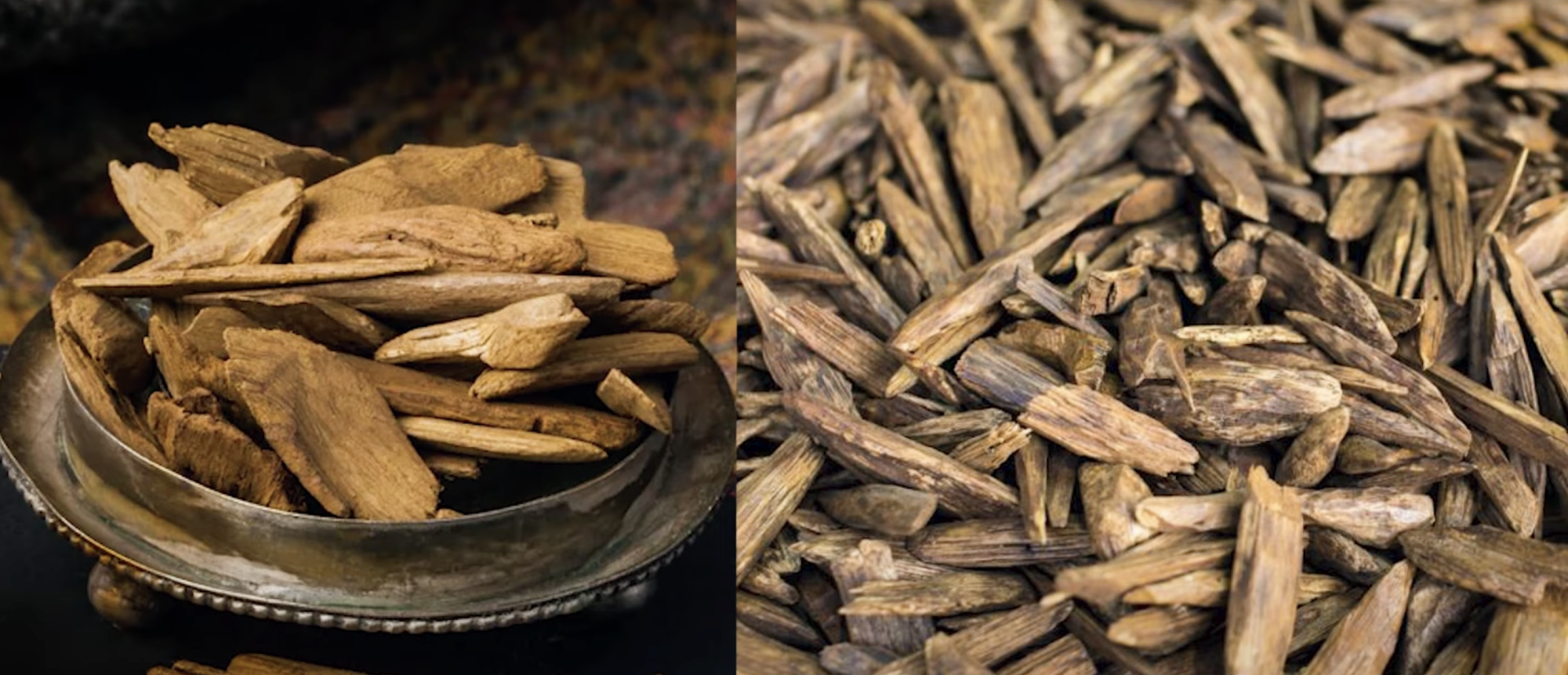 agarwood philippines