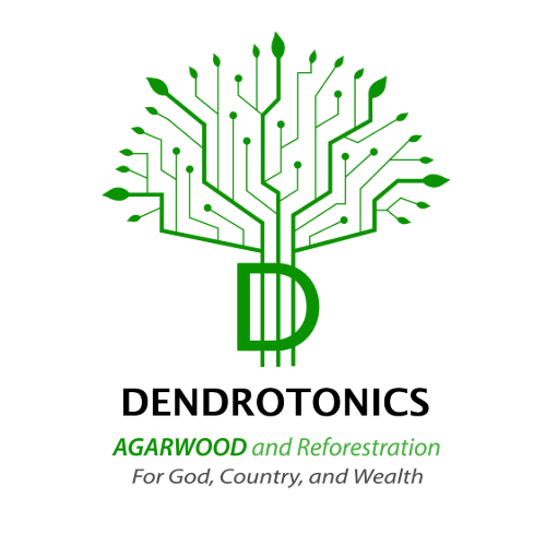 Dendrotnics (1)